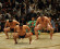 Sumo comes to town