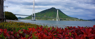 Island Biking Adventures