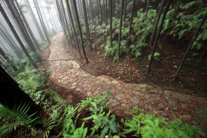 Kumano Kodo pilgrimage route