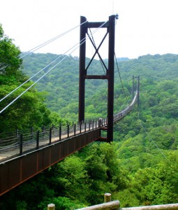 Hoshi no Buranko suspension bridge 1