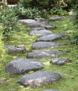 Kyoto Zen gardens2