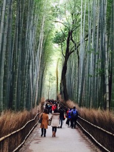 Arashiyama Bamboo-Celia