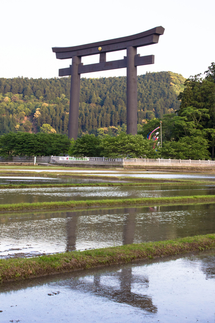 12-hongu-taisha-tori-gate-1