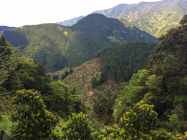 13-view-kumano-kodo